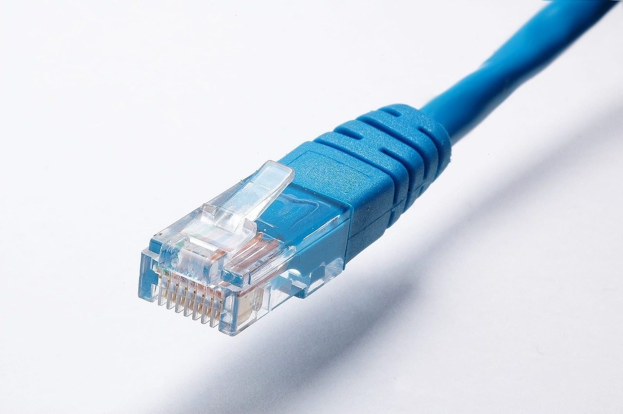 Network cables plugged into the ports of a network switch